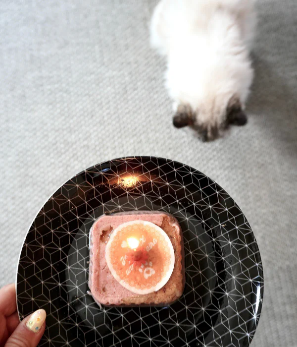 Miniature 4